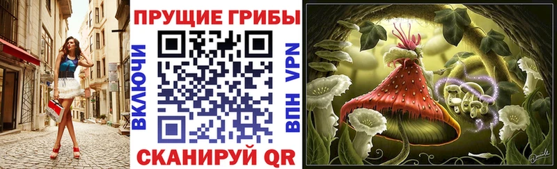 Галлюциногенные грибы Psilocybe  Зеленокумск 